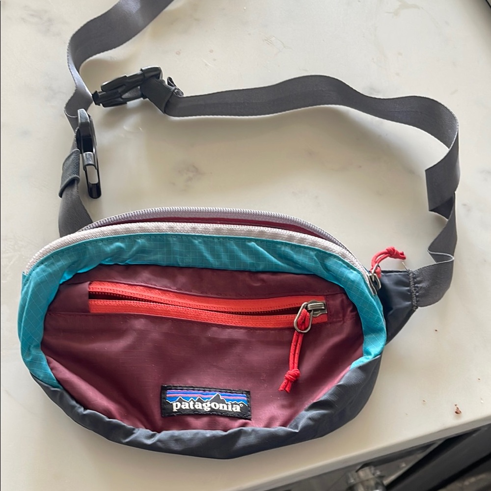Patagonia Red and Blue Belt Bag Practical Outdoor Gear